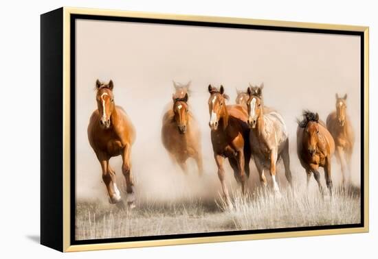 Outlaws-Lisa Dearing-Framed Premier Image Canvas