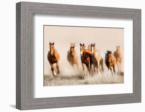 Outlaws-Lisa Dearing-Framed Photographic Print