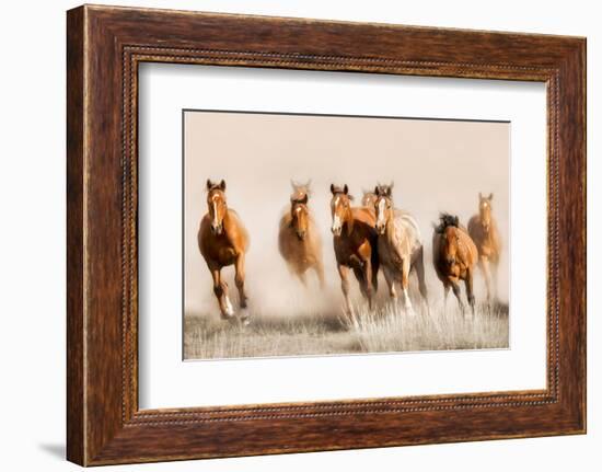 Outlaws-Lisa Dearing-Framed Photographic Print