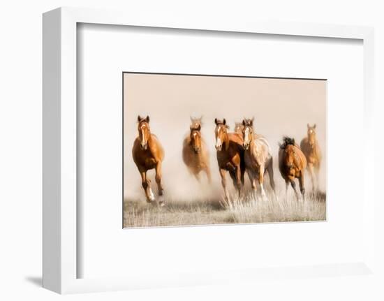 Outlaws-Lisa Dearing-Framed Photographic Print