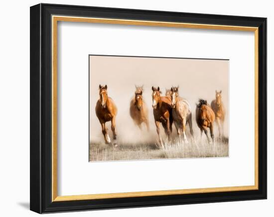 Outlaws-Lisa Dearing-Framed Photographic Print