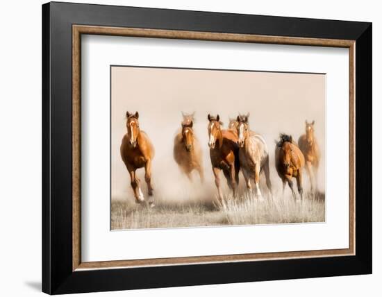 Outlaws-Lisa Dearing-Framed Photographic Print