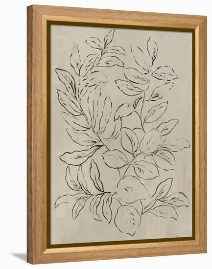 Outlined Leaves I-Asia Jensen-Framed Stretched Canvas