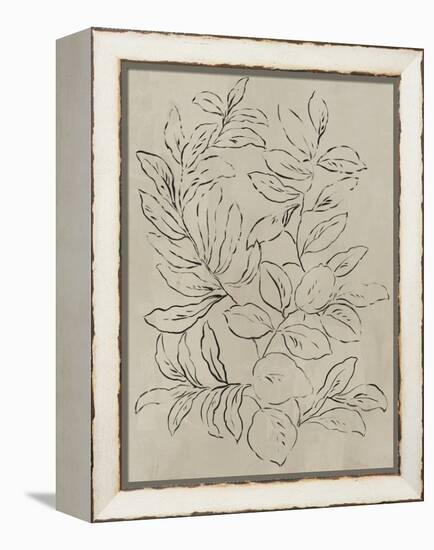 Outlined Leaves I-Asia Jensen-Framed Stretched Canvas