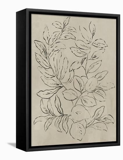 Outlined Leaves I-Asia Jensen-Framed Stretched Canvas