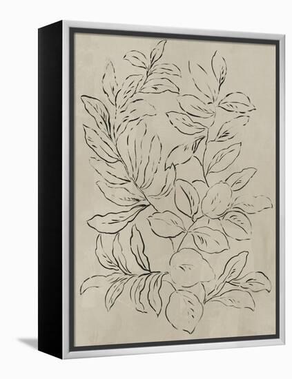 Outlined Leaves I-Asia Jensen-Framed Stretched Canvas