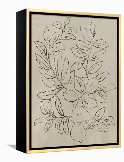 Outlined Leaves I-Asia Jensen-Framed Stretched Canvas