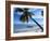 Outrigger Motorboat Moored on Alona Beach, Panglao, Bohol, Philippines-Jack Jackson-Framed Photographic Print