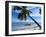 Outrigger Motorboat Moored on Alona Beach, Panglao, Bohol, Philippines-Jack Jackson-Framed Photographic Print