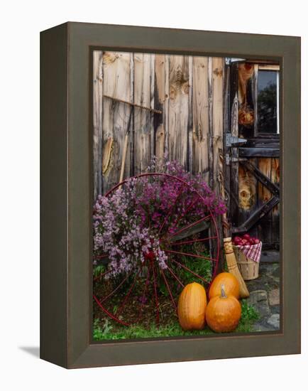 Outside barn in autumn at Drury Place. Weston, Vermont, USA-Scott T^ Smith-Framed Premier Image Canvas