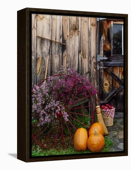 Outside barn in autumn at Drury Place. Weston, Vermont, USA-Scott T^ Smith-Framed Premier Image Canvas