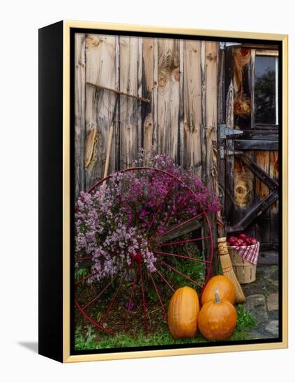 Outside barn in autumn at Drury Place. Weston, Vermont, USA-Scott T^ Smith-Framed Premier Image Canvas