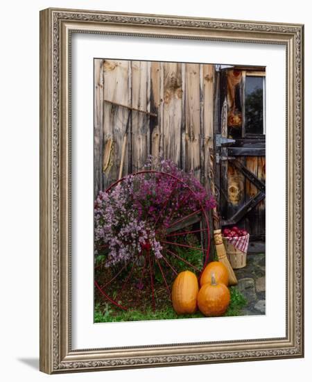 Outside barn in autumn at Drury Place. Weston, Vermont, USA-Scott T^ Smith-Framed Photographic Print