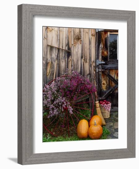 Outside barn in autumn at Drury Place. Weston, Vermont, USA-Scott T^ Smith-Framed Photographic Print