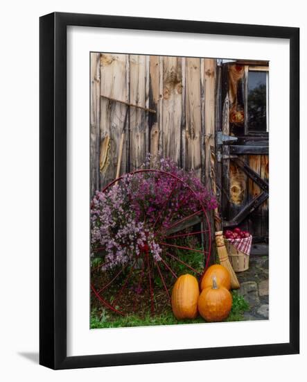 Outside barn in autumn at Drury Place. Weston, Vermont, USA-Scott T^ Smith-Framed Photographic Print