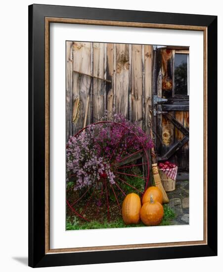 Outside barn in autumn at Drury Place. Weston, Vermont, USA-Scott T^ Smith-Framed Photographic Print