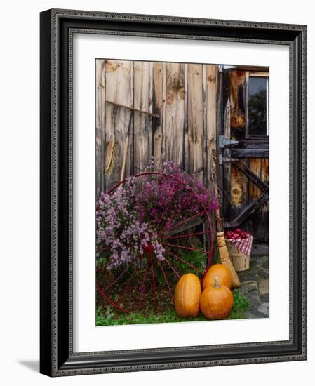 Outside barn in autumn at Drury Place. Weston, Vermont, USA-Scott T^ Smith-Framed Photographic Print