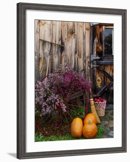 Outside barn in autumn at Drury Place. Weston, Vermont, USA-Scott T^ Smith-Framed Photographic Print