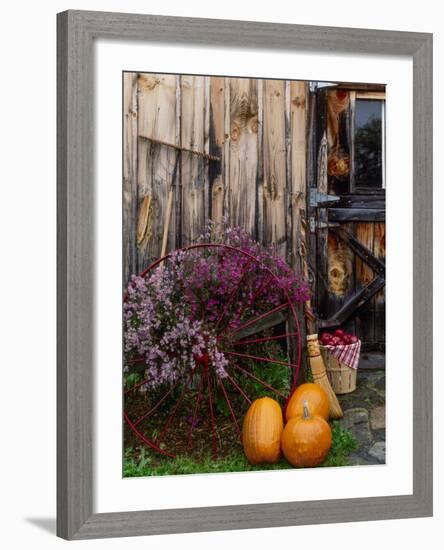 Outside barn in autumn at Drury Place. Weston, Vermont, USA-Scott T^ Smith-Framed Photographic Print