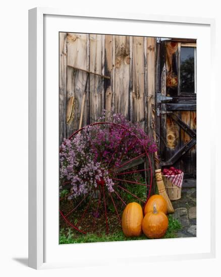 Outside barn in autumn at Drury Place. Weston, Vermont, USA-Scott T^ Smith-Framed Photographic Print