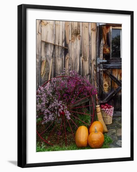 Outside barn in autumn at Drury Place. Weston, Vermont, USA-Scott T^ Smith-Framed Photographic Print