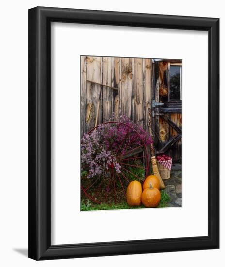 Outside barn in autumn at Drury Place. Weston, Vermont, USA-Scott T^ Smith-Framed Photographic Print