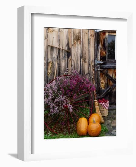 Outside barn in autumn at Drury Place. Weston, Vermont, USA-Scott T^ Smith-Framed Photographic Print