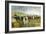 Outside the Plaza De Toros, Madrid, 1897-Eugenio Lucas Villamil-Framed Giclee Print