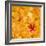 Outside the Yellow-Philippe Sainte-Laudy-Framed Photographic Print