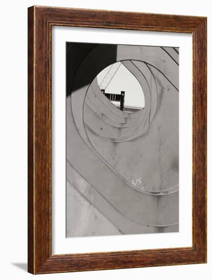 Oval Fractals I-Dana Styber-Framed Photographic Print