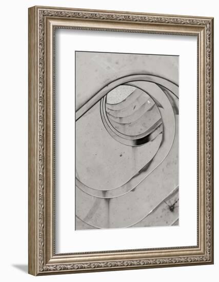 Oval Fractals II-Dana Styber-Framed Photographic Print