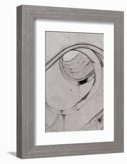 Oval Fractals II-Dana Styber-Framed Photographic Print