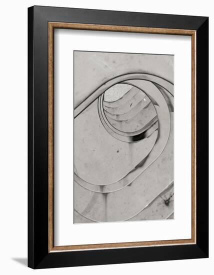 Oval Fractals II-Dana Styber-Framed Photographic Print