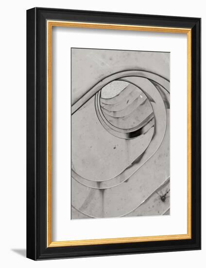 Oval Fractals II-Dana Styber-Framed Photographic Print