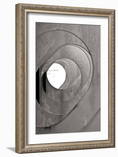 Oval Fractals III-Dana Styber-Framed Photographic Print