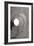 Oval Fractals III-Dana Styber-Framed Photographic Print