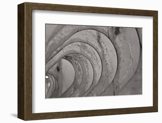 Oval Fractals IV-Dana Styber-Framed Photographic Print