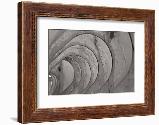 Oval Fractals IV-Dana Styber-Framed Photographic Print