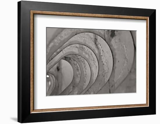 Oval Fractals IV-Dana Styber-Framed Photographic Print