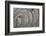 Oval Fractals IV-Dana Styber-Framed Photographic Print