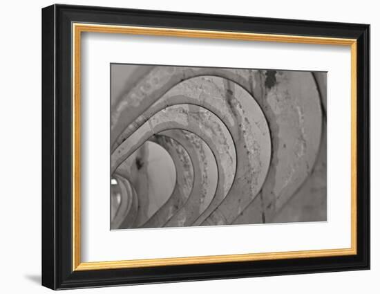 Oval Fractals IV-Dana Styber-Framed Photographic Print