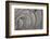 Oval Fractals IV-Dana Styber-Framed Photographic Print