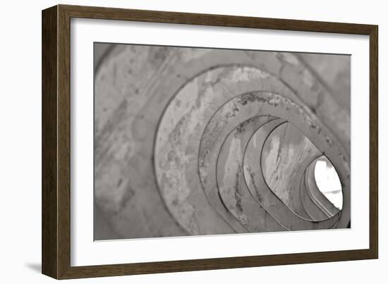 Oval Fractals V-Dana Styber-Framed Photographic Print