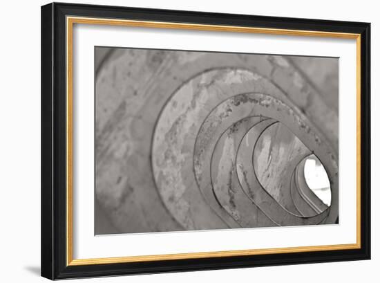 Oval Fractals V-Dana Styber-Framed Photographic Print