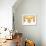 Ovarian Sunshine-Belen Mena-Framed Giclee Print displayed on a wall