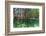 Over and under Shot of Mangrove Roots in Tampa Bay, Florida-James White-Framed Photographic Print