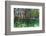 Over and under Shot of Mangrove Roots in Tampa Bay, Florida-James White-Framed Photographic Print