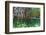 Over and under Shot of Mangrove Roots in Tampa Bay, Florida-James White-Framed Photographic Print