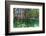 Over and under Shot of Mangrove Roots in Tampa Bay, Florida-James White-Framed Photographic Print