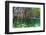 Over and under Shot of Mangrove Roots in Tampa Bay, Florida-James White-Framed Photographic Print